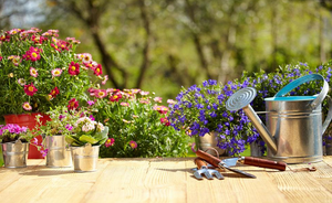 The gardening tools we must have