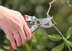 How to use gardening pruning scissors correctly?