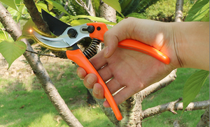 How to use pruning shears?