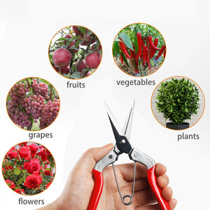 Pruning Shears，Pruning Snip2