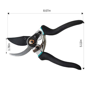 Pruning Shears