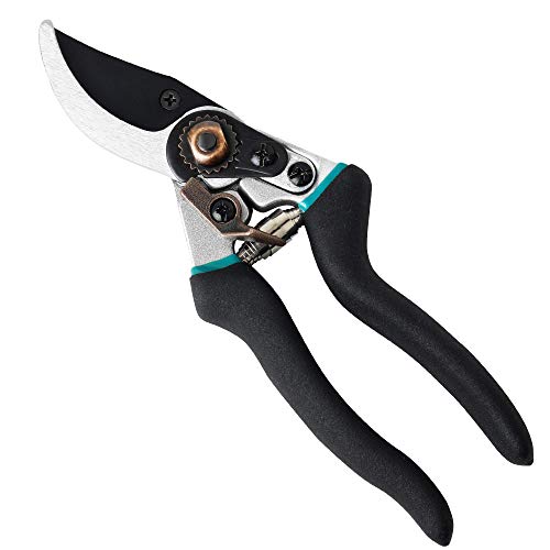 Pruning Shears