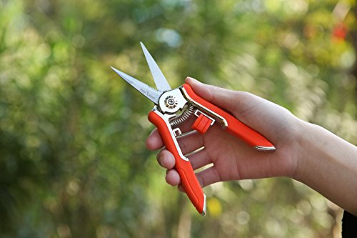 garden scissors Gardening Scissors