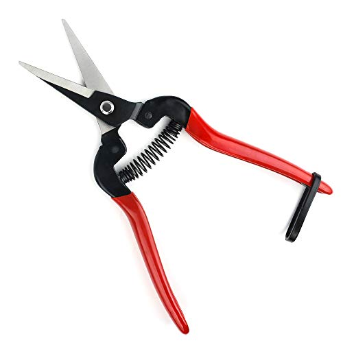 Pruning Shears，Pruning Snip4