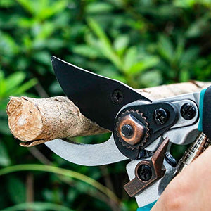 Pruning Shears