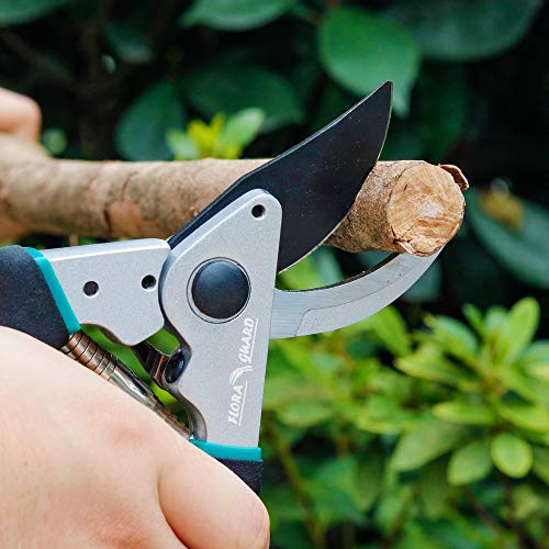 Garden Snips - FS109, Pruning Tools