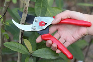 Pruning Shears，Pruning Snip3