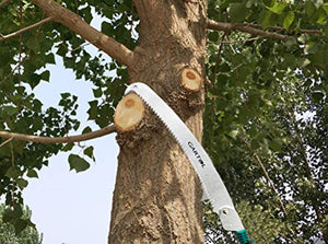 Gardening Saws