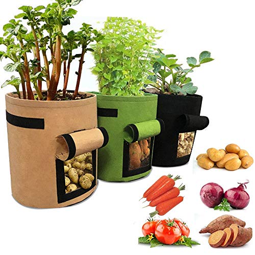 pot bags for plants Plant Grow Bags (10 packs) – FLORA GUARD