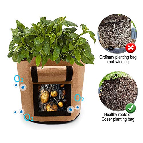 potato grow planter bag Plant Grow Bags (10 packs) – FLORA GUARD