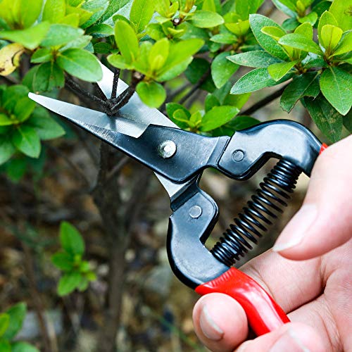 Berry&Bird Garden Pruning Shears – Stainless Steel Blades With Wood Handles