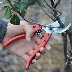 Pruning Shears，Pruning Snip5