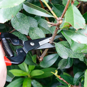 Pruning Shears，Pruning Snip4