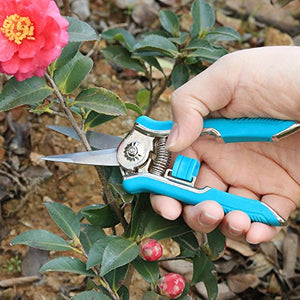 Gardening Scissors - Blue
