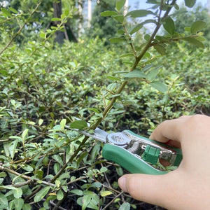 Gardening Scissors - Green