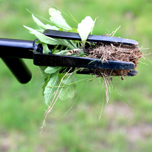 Weeder Removal Tool